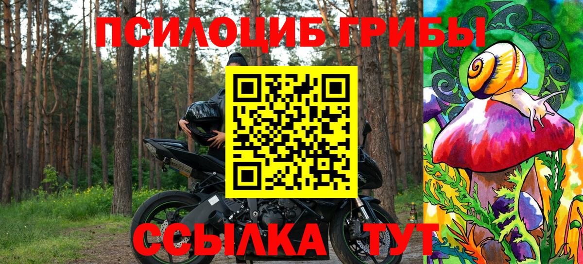 Псилоцибиновые грибы Psilocybe  Псилоцибиновые грибы Psilocybe  Маркс 