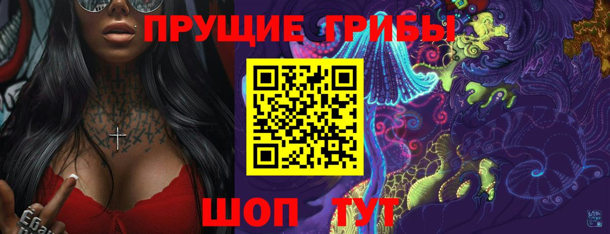 Галлюциногенные грибы Psilocybine cubensis Маркс