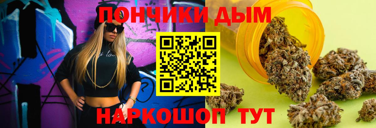 Каннабис конопля  Маркс  Марихуана гибрид  Конопля THC 21%  Канабис гибрид 